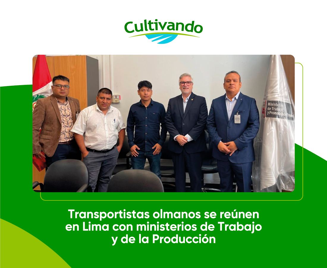 imagenes